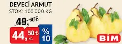 ARMUT DEVECİ KG ARMUT DEVECİ KG